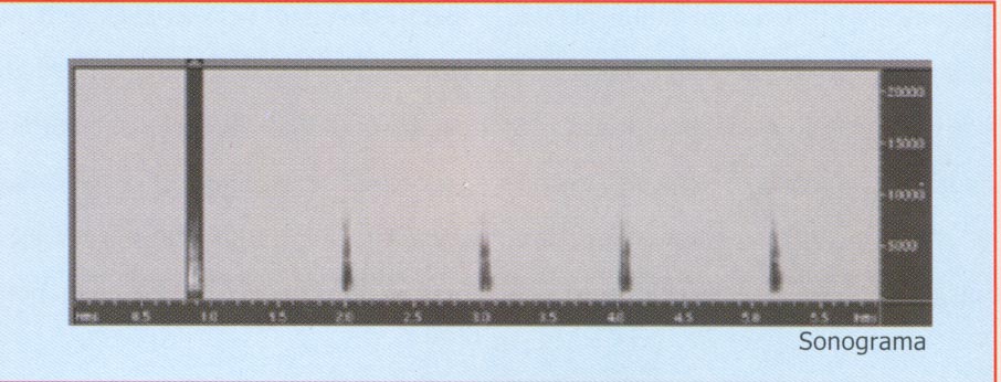Sonograma.jpg (63927 bytes)