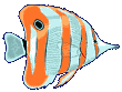 buttfly.gif (3003 bytes)