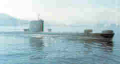 sub_riachu.jpg (2360 bytes)